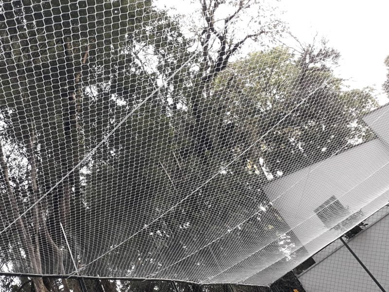 Rede para janelas de alta resistência em Tobias Barreto