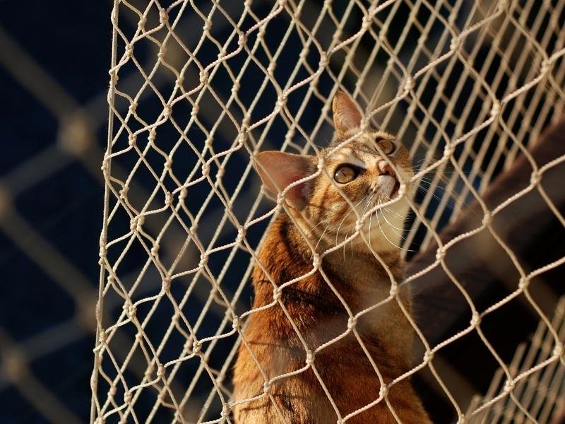 Garanta a segurança de crianças com rede residencial em Aracaju