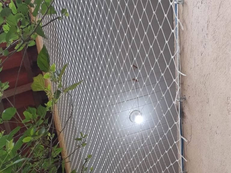 Telas de proteção para Gatos em Aracaju