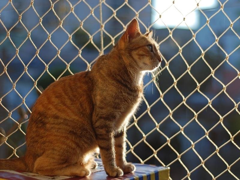 Telas de segurança para cobertura em Aracaju
