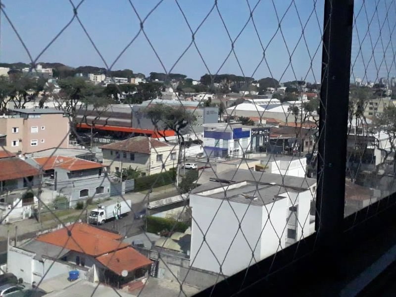 Rede de Proteção para Gatos em Aracaju Rede de Proteção para Gatos em Aracaju